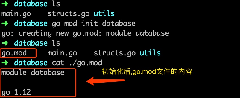 Go Mod go-mod